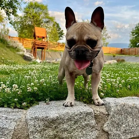 דירה Przycup W Karkonoszach W Okolicy Karpacza 7 Minut Od Karpacza Marczyce Sosnowkakarkonosze, Karpacz, Szklarska Poreba- Sauna Finska קרפאז'