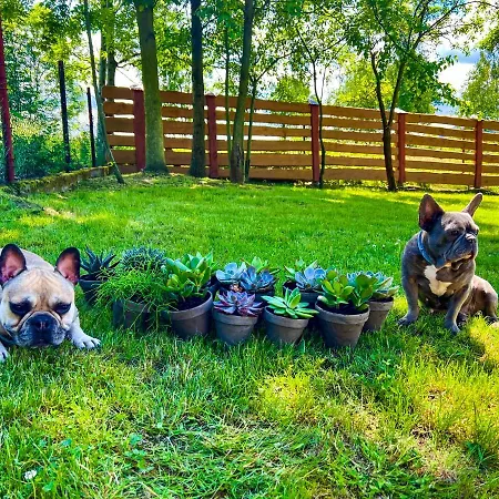 Przycup W Karkonoszach W Okolicy Karpacza 7 Minut Od Karpacza Marczyce Sosnowkakarkonosze, Karpacz, Szklarska Poreba- Sauna Finska דירה *