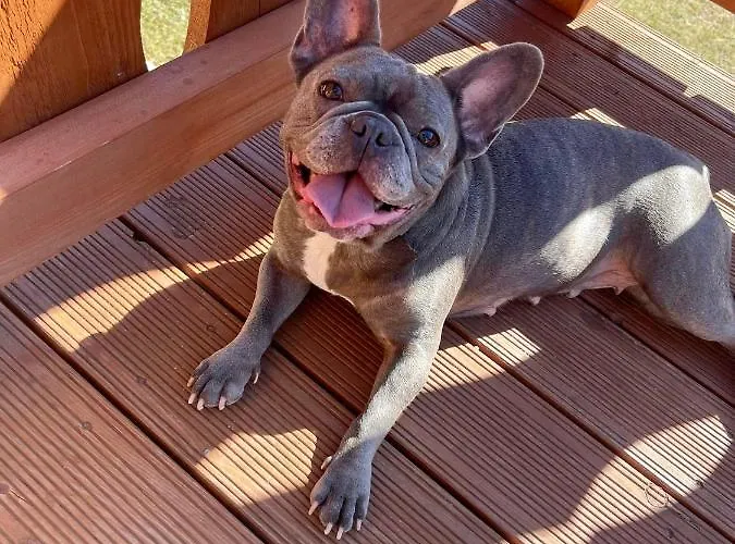 Przycup W Karkonoszach W Okolicy Karpacza 7 Minut Od Karpacza Marczyce Sosnowkakarkonosze, Karpacz, Szklarska Poreba- Sauna Finska * 카르파츠